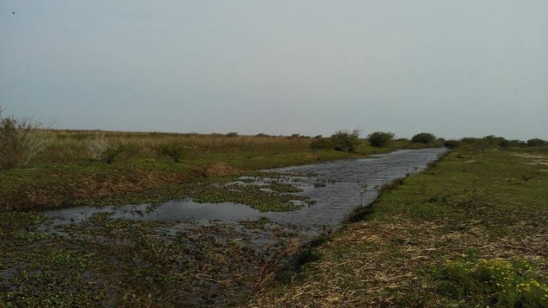 Imagem Chácara à Venda, 194 m² em águas Claras - Viamão