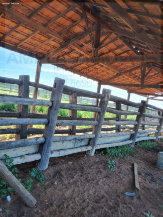 Imagem Fazenda à Venda, 4.050 m² em Jaíba