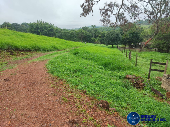 Imagem Chácara à Venda, 2 m² em Zona Rural - Itauçu Imagem Chácara à Venda, 2 m² em Zona Rural - Itauçu