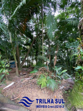 Imagem Imóvel com 3 Quartos à Venda, 4.700 m² em Laranjeiras - São Francisco Do Sul Imagem Imóvel com 3 Quartos à Venda, 4.700 m² em Laranjeiras - São Francisco Do Sul