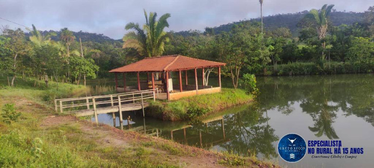 Imagem Fazenda à Venda, 106 m² em Zona Rural - Uruaçu