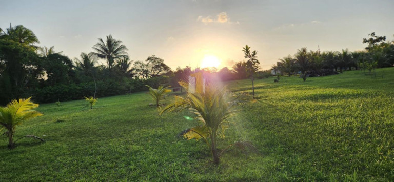 Imagem Chácara com 2 Quartos à Venda, 14.600 m² em Povoado - Pedras De Fogo Imagem Chácara com 2 Quartos à Venda, 14.600 m² em Povoado - Pedras De Fogo