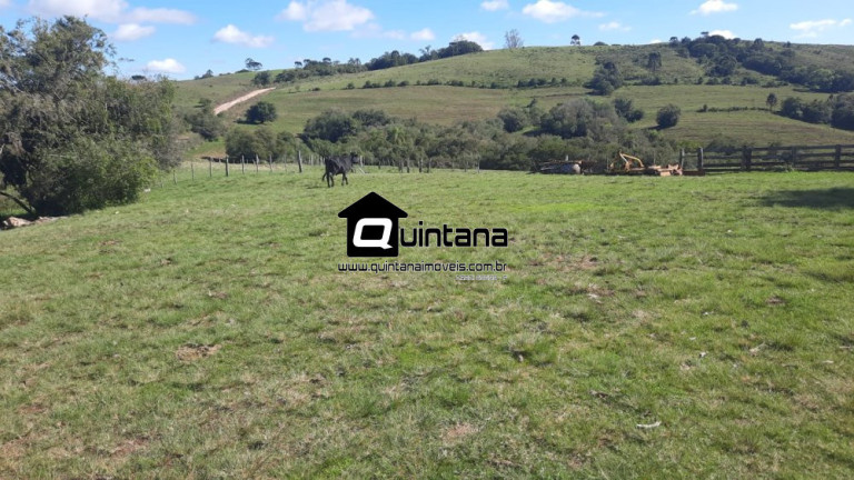 Imagem Imóvel com 2 Quartos à Venda, 8.000.000 m² em Centro - Santana Da Boa Vista Imagem Imóvel com 2 Quartos à Venda, 8.000.000 m² em Centro - Santana Da Boa Vista