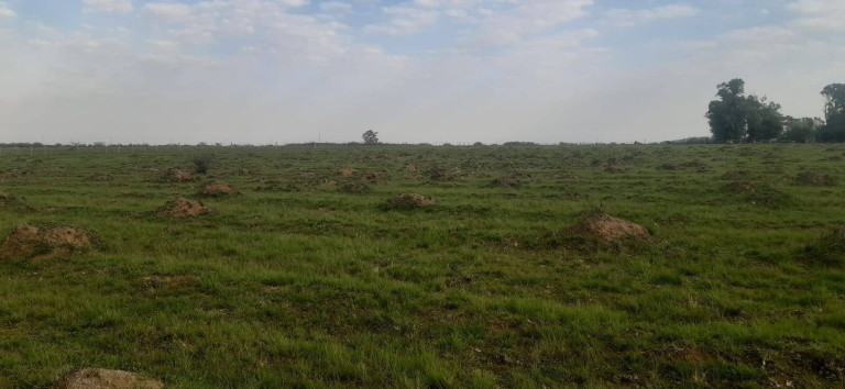 Imagem Terreno à Venda, 16 m² em Itaqui Imagem Terreno à Venda, 16 m² em Itaqui