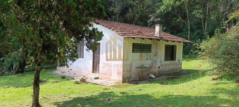 Imagem Chácara com 4 Quartos à Venda, 86.748 m² em São Dimas - Colombo