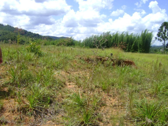 Imagem Terreno à Venda, 15.700 m² em Acesso Para Carretas - Mairiporã