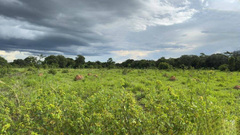 Imagem Fazenda à Venda, 1.000 m² em Cuiabá Imagem Fazenda à Venda, 1.000 m² em Cuiabá