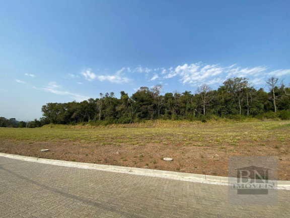 Imagem Terreno à Venda, 455 m² em Linha Santa Cruz - Santa Cruz Do Sul Imagem Terreno à Venda, 455 m² em Linha Santa Cruz - Santa Cruz Do Sul
