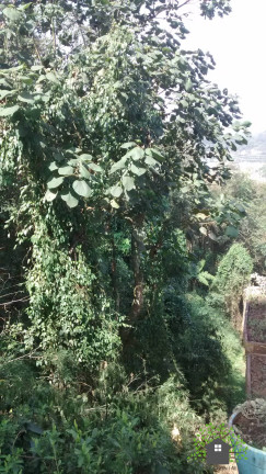 Imagem Terreno à Venda, 1.000 m² em Forest Hills - Jandira