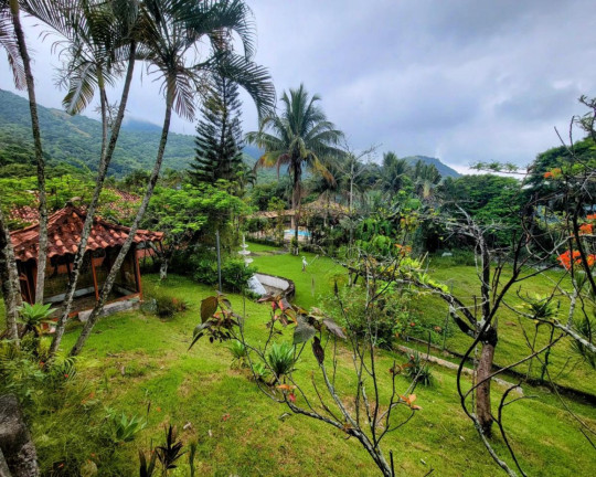 Imagem Terreno à Venda, 88.000 m² em Anil - Rio De Janeiro