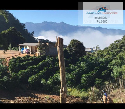 Imagem Fazenda à Venda, 35 m² em Manhumirim