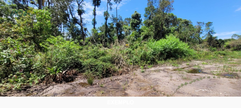 Imagem Terreno à Venda, 384 m² em Continental - Itapoá Imagem Terreno à Venda, 384 m² em Continental - Itapoá