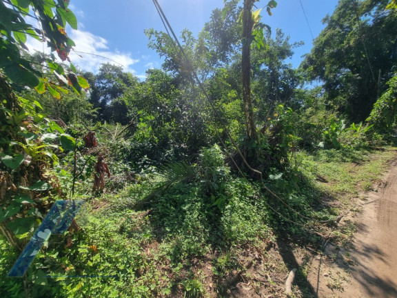 Imagem Terreno à Venda, 540 m² em Itamambuca - Ubatuba Imagem Terreno à Venda, 540 m² em Itamambuca - Ubatuba