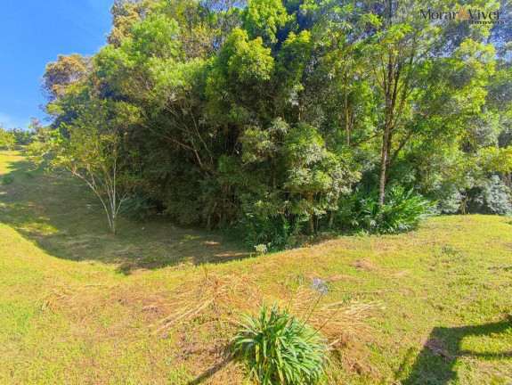 Imagem Imóvel com 2 Quartos à Venda, 7.724 m² em Loteamento Chácara Chantecler - Piraquara Imagem Imóvel com 2 Quartos à Venda, 7.724 m² em Loteamento Chácara Chantecler - Piraquara