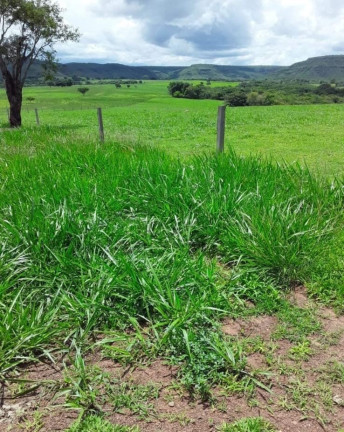 Imagem Imóvel com 7 Quartos à Venda,  em Campinápolis/mt - Campinápolis