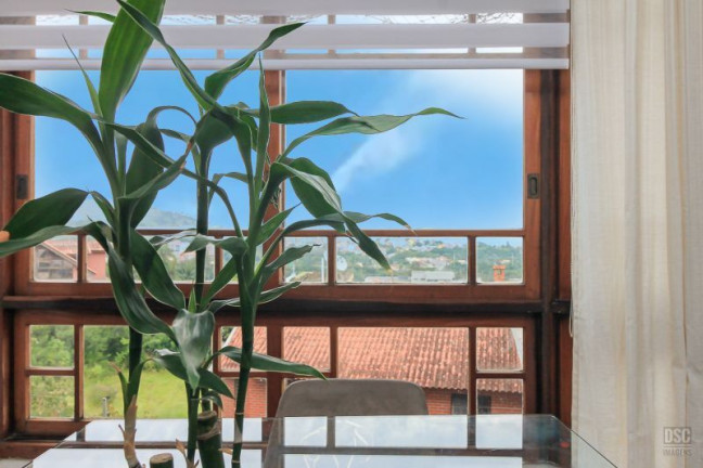 Imagem Casa com 3 Quartos à Venda, 183 m² em Ipanema - Porto Alegre Imagem Casa com 3 Quartos à Venda, 183 m² em Ipanema - Porto Alegre