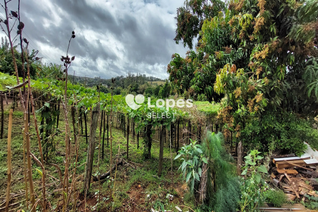 Imagem Imóvel com 1 Quarto à Venda, 43.000 m² em Parque Eldorado - Campinas Imagem Imóvel com 1 Quarto à Venda, 43.000 m² em Parque Eldorado - Campinas