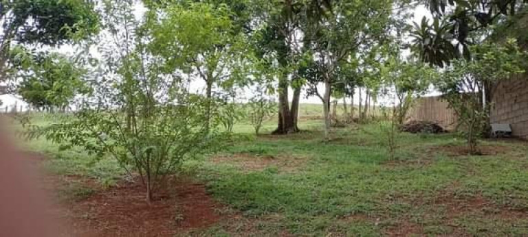 Imagem Imóvel com 2 Quartos à Venda, 120 m² em Bairro Barro Branco - Lagoinha Imagem Imóvel com 2 Quartos à Venda, 120 m² em Bairro Barro Branco - Lagoinha