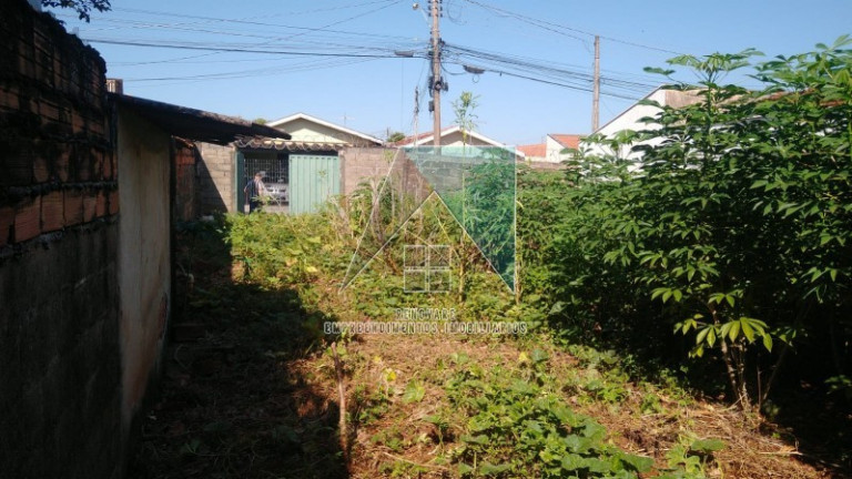 Imagem Terreno para Alugar, em Campos Eliseos - Ribeirão Preto Imagem Terreno para Alugar, em Campos Eliseos - Ribeirão Preto
