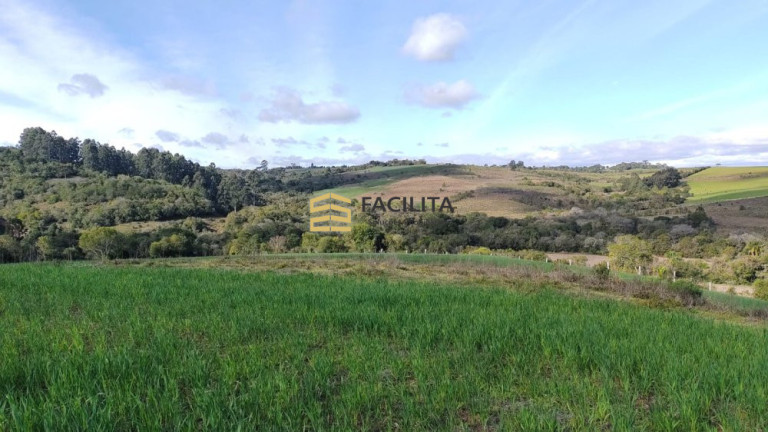 Imagem Imóvel com 2 Quartos à Venda, 1.010.000 m² em Piquiri - Cachoeira Do Sul Imagem Imóvel com 2 Quartos à Venda, 1.010.000 m² em Piquiri - Cachoeira Do Sul