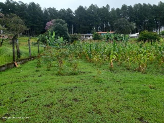 Imagem Chácara à Venda, em Consultar - Ibiúna Imagem Chácara à Venda, em Consultar - Ibiúna