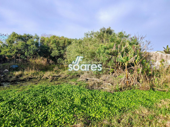 Imagem Terreno à Venda, 429 m² em Laranjal - Pelotas Imagem Terreno à Venda, 429 m² em Laranjal - Pelotas
