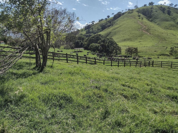 Imagem Fazenda à Venda, 100 m² em Zona Rural - Itamonte