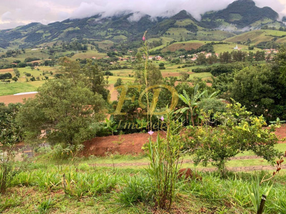 Imagem Chácara com 2 Quartos à Venda, 15.000 m² em Dom Veiçoso - São Lourenço Imagem Chácara com 2 Quartos à Venda, 15.000 m² em Dom Veiçoso - São Lourenço