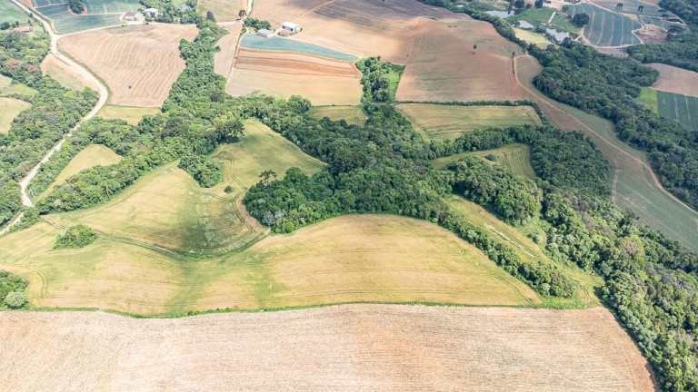 Imagem Terreno à Venda, 145.200 m² em Vila Dom Pedro Ii - Campo Largo Imagem Terreno à Venda, 145.200 m² em Vila Dom Pedro Ii - Campo Largo