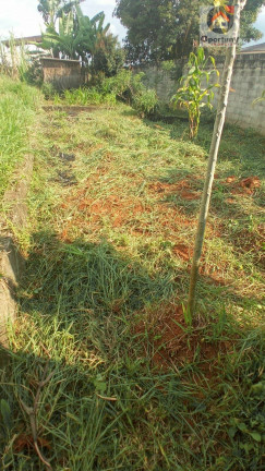 Imagem Terreno à Venda, 250 m² em Parque Residencial Bambi - Guarulhos