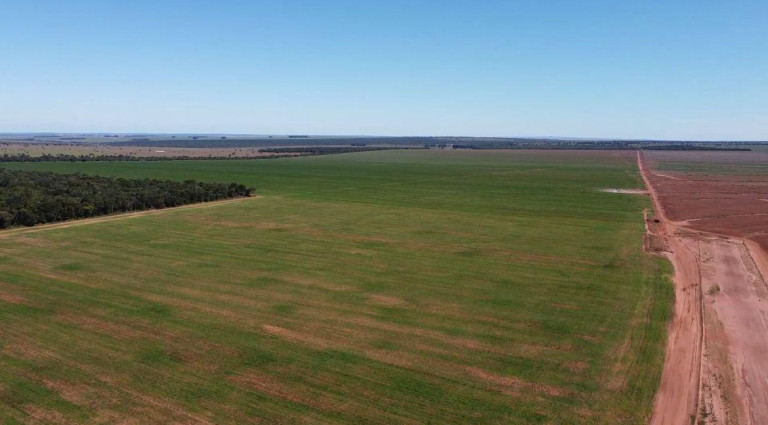 Imagem Fazenda à Venda, 8.100 m² em Rural - Chapadão Do Sul