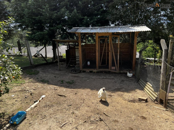 Imagem Chácara à Venda, 6.300 m² em Zona Rural - Tijucas Do Sul