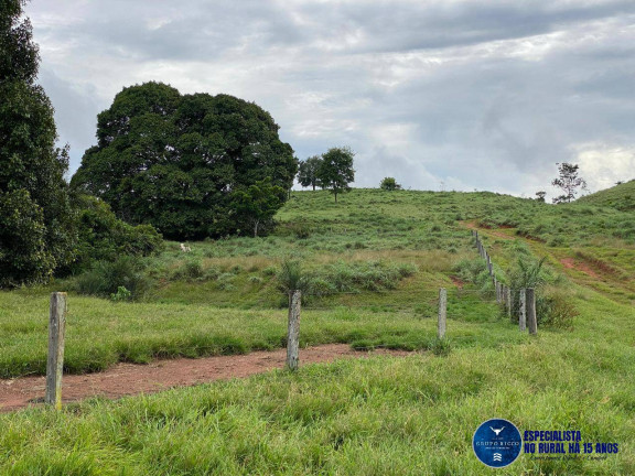 Imagem Fazenda à Venda, 214 m² em Zona Rural - Israelândia Imagem Fazenda à Venda, 214 m² em Zona Rural - Israelândia