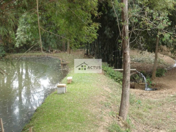 Imagem Chácara à Venda, 20.000 m² em Campo Verde - Mário Campos