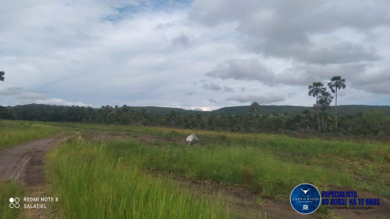 Imagem Fazenda à Venda, 814 m² em Zona Rural - Nova Xavantina Imagem Fazenda à Venda, 814 m² em Zona Rural - Nova Xavantina