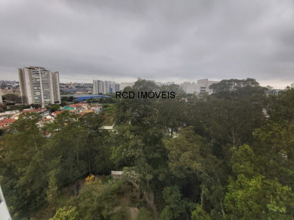 Imagem Apartamento com 3 Quartos à Venda, 64 m² em Jardim Olympia - São Paulo Imagem Apartamento com 3 Quartos à Venda, 64 m² em Jardim Olympia - São Paulo