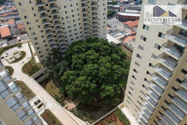 Imagem Apartamento com 3 Quartos à Venda, 76 m² em Picanco - Guarulhos Imagem Apartamento com 3 Quartos à Venda, 76 m² em Picanco - Guarulhos