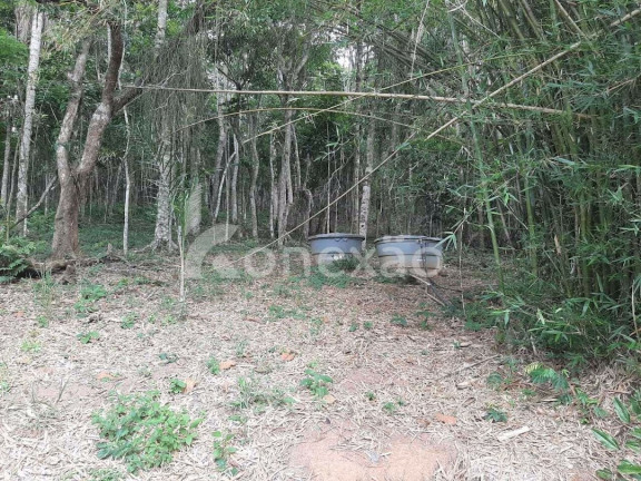 Imagem Chácara com 4 Quartos à Venda, 250 m² em Varjao - Paraibuna Imagem Chácara com 4 Quartos à Venda, 250 m² em Varjao - Paraibuna