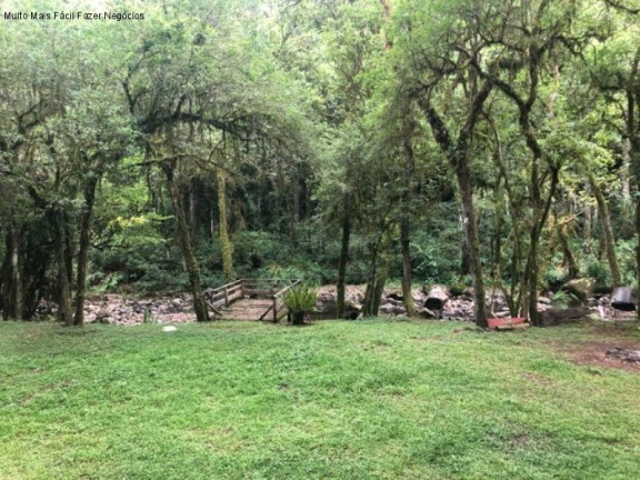 Imagem Imóvel com 2 Quartos à Venda, 80 m² em Linha Pirajá Baixa - Nova Petrópolis