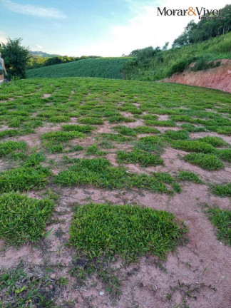 Imagem Imóvel com 2 Quartos à Venda, 8.297 m² em São Gabriel - Quitandinha Imagem Imóvel com 2 Quartos à Venda, 8.297 m² em São Gabriel - Quitandinha