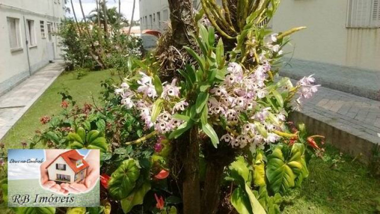 Imagem Apartamento com 2 Quartos à Venda, 56 m² em Demarchi - São Bernardo Do Campo Imagem Apartamento com 2 Quartos à Venda, 56 m² em Demarchi - São Bernardo Do Campo