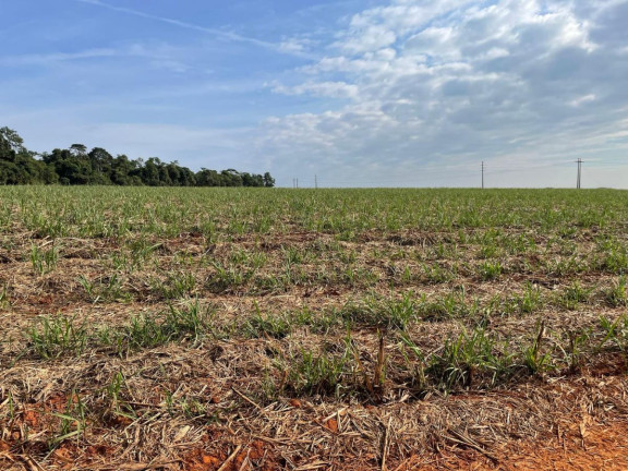 Imagem Fazenda à Venda, 303 m² em Rural - Itaí