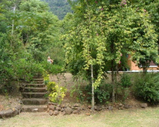 Imagem Imóvel à Venda, em Linha Pirajá Baixa - Nova Petrópolis Imagem Imóvel à Venda, em Linha Pirajá Baixa - Nova Petrópolis