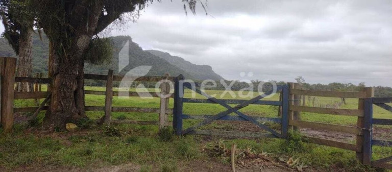 Imagem Fazenda à Venda, 90 m² em Braço Grande - Miracatu Imagem Fazenda à Venda, 90 m² em Braço Grande - Miracatu