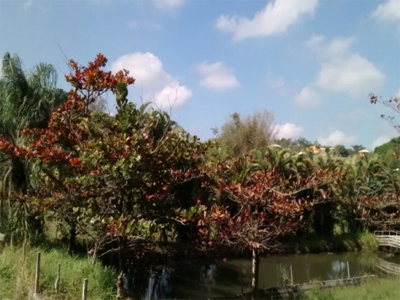 Imagem Chácara à Venda, 9.000 m² em Veraneio Iraja - Jacareí