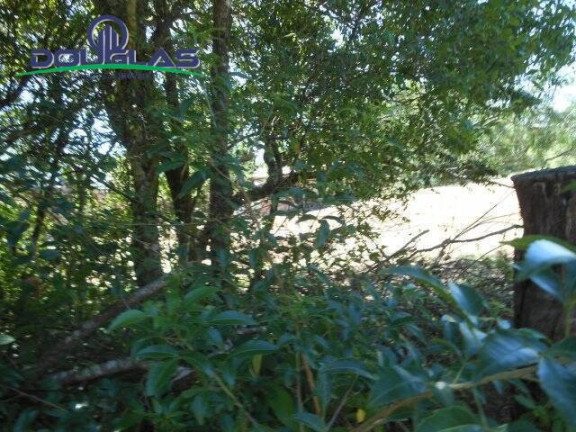 Imagem Terreno à Venda, 800 m² em Viamão