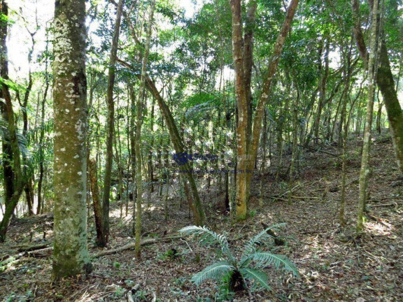 Imagem Terreno à Venda, 1.250 m² em Pirucaia - Mairiporã Imagem Terreno à Venda, 1.250 m² em Pirucaia - Mairiporã