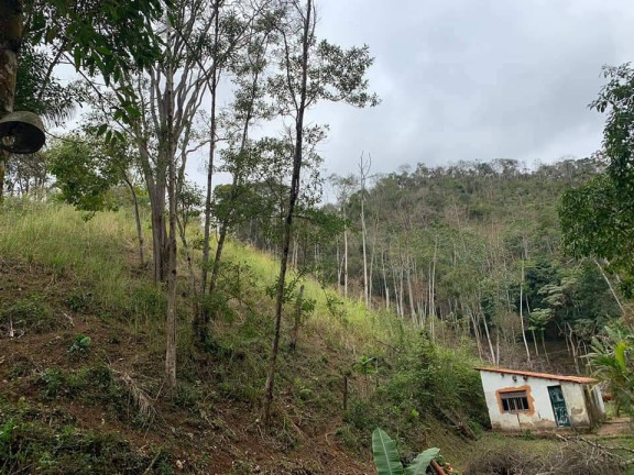 Imagem Chácara com 3 Quartos à Venda, 81 m² em Riograndina - Nova Friburgo Imagem Chácara com 3 Quartos à Venda, 81 m² em Riograndina - Nova Friburgo