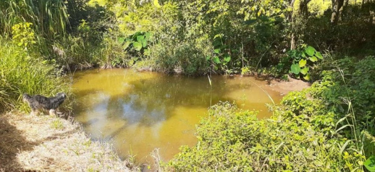 Imagem Imóvel com 4 Quartos para Alugar, 200 m² em Vila Gato - Bragança Paulista Imagem Imóvel com 4 Quartos para Alugar, 200 m² em Vila Gato - Bragança Paulista
