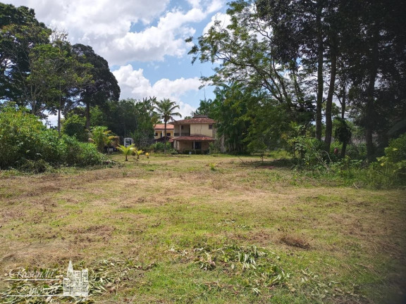 Imagem Casa com 4 Quartos para Alugar, 9.000 m² em águas Lindas - Ananindeua Imagem Casa com 4 Quartos para Alugar, 9.000 m² em águas Lindas - Ananindeua